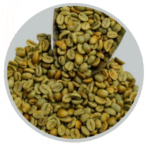 kintamani natural arabica